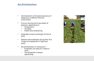 Heat Stress Prevention - English PowerPoint | PPTX