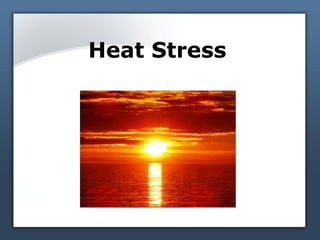Heat Stress

 