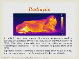 
Radiação
A radiação solar tem impacto directo na temperatura retal e
frequência respiratória (Brosh et al 1998, Sevi et al 2001, Collier et al
2006). Além disso a radiação solar teria um efeito em algumas
concentrações enzimáticas e de sais minerais no plasma (Sevi et al
2001)
Superfícies escuras absorvem e irradiam mais calor do que as Sup.
brancas para a mesma condição ambiental (Kadzere et al 2002)
Fonte: http://www.thedairysite.com/articles/2404/behavioural-responses-to-heat-stress
 