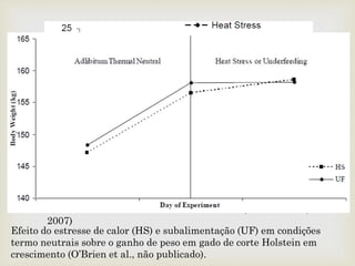 
Efeito do estresse de calor e subalimentação das vacas
Holstein sobre o consumo de matéria seca. (Rhoads et al.,
2007)
Efeito do estresse de calor (HS) e subalimentação (UF) em condições
termo neutrais sobre o ganho de peso em gado de corte Holstein em
crescimento (O’Brien et al., não publicado).
 