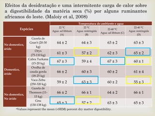 
Efeitos da desidratação e uma intermitente carga de calor sobre
a digestibilidade da matéria seca (%) por alguns ruminantes
africanos do leste. (Maloiy et al, 2008)
aValues represent the mean (±SEM) percent dry matter digestibility.
Espécies
Temperatura do ambiente e agua
22 °C
Agua: ad libitum
(A)
22 °C
Agua: restringida
(B)
22-40 °C
Agua: ad libitum (C)
22-40 °C
Agua: restringida
(D)
No domestico,
árido
Gazela de
Gran't (20-30
kg)
64 ± 2 64 ± 3 63 ± 2 63 ± 3
Oryx
(75-110 kg)
61 ± 3 57 ± 2 62 ± 3 65 ± 2
Domestico,
árido
Cabra Turkana
(15-20 kg)
67 ± 3 59 ± 4 67 ± 3 60 ± 1
Ovelha de
cauda gorda
(18-25 kg)
66 ± 2 60 ± 3 60 ± 2 61 ± 4
Vaca Zebu
(250-320 kg)
59 ± 2 63 ± 3 60 ± 2 55 ± 3
No domestico,
No árido
Gazela de
Thomson (11-
15 kg)
66 ± 2 66 ± 1 64 ± 2 66 ± 1
Gnu
(130-138 kg)
65 ± 3 57 ± 2 63 ± 3 65 ± 3
 