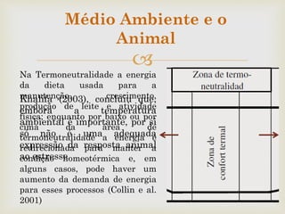 
Na Termoneutralidade a energia
da dieta usada para a
manutenção, crescimento,
produção de leite e atividade
física; enquanto por baixo ou por
cima da área de
termoneutralidade a energia é
redirecionada para manter a
condição homeotérmica e, em
alguns casos, pode haver um
aumento da demanda de energia
para esses processos (Collin e al.
2001)
Médio Ambiente e o
Animal
Khalifa (2003), concluiu que,
embora a temperatura
ambiental é importante, por si
só não é uma adequada
expressão da resposta animal
ao estresse.
 