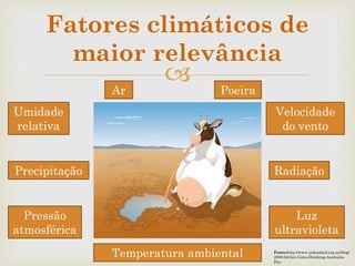 
Fatores climáticos de
maior relevância
Fonte:http://www.unleashed.org.au/blog/
2009-04/Are-Cows-Drinking-Australia-
Dry
Ar
Umidade
relativa
Radiação
Velocidade
do vento
Pressão
atmosférica
Luz
ultravioleta
Precipitação
Poeira
Temperatura ambiental
 