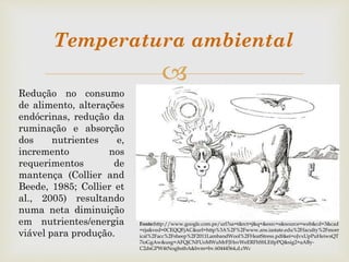 
Fonte:http://www.google.com.pe/url?sa=t&rct=j&q=&esrc=s&source=web&cd=3&cad
=rja&ved=0CEQQFjAC&url=http%3A%2F%2Fwww.ans.iastate.edu%2Ffaculty%2Fmorr
ical%2Facc%2Fsheep%2F2011LambandWool%2FHeatStress.pdf&ei=oJvxUpPuHeiwsQT
7ioGgAw&usg=AFQjCNFUoMWuMrFJHsvWeERFhSSLEtlpPQ&sig2=aABy-
C2dsGPW4tNoghsthA&bvm=bv.60444564,d.cWc
Redução no consumo
de alimento, alterações
endócrinas, redução da
ruminação e absorção
dos nutrientes e,
incremento nos
requerimentos de
mantença (Collier and
Beede, 1985; Collier et
al., 2005) resultando
numa neta diminuição
em nutrientes/energia
viável para produção.
Temperatura ambiental
 