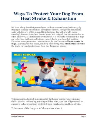 Budget Vet Care Page 1
Ways To Protect Your Dog From
Heat Stroke & Exhaustion
It’s been a long time that you and your pet have restored enough of energy by
staying in the cozy environment throughout winters. How good it may feel to
wake with the rays of the sun and kick start your day with a bright sunny
morning? Summer is the best time to be out and enjoy all that the season has to
offer. However, as the temperature heats up, it is crucial to remember that dogs
are vulnerable to illness and injuries caused due to scorching hot weather.
Excessive sun exposure can cause sunburn, footpad burns and heat stroke in
dogs. As every pain has a cure, similarly considering heat stroke treatment is
the key to cure and protect dogs from this dangerous misery.
This season is all about moving out of the house to experience summer
chills, picnics, swimming, running or hikes with your pet. All you need to
ensure is to keep your pup protected from overheating and heat stroke.
To be aware of the dangers, let’s know more about it.
 