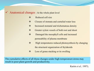  Anatomical changes : At the whole plant level
 Reduced cell size
 Closure of stomata and curtailed water loss
 Increased stomatal and trichomatous density
 Greater xylem vessels of both root and shoot
 Damaged the mesophyll cells and increased
permeability of plasma membrane
 High temperatures reduced photosynthesis by changing
the structural organization of thylakoids
 Loss of grana stacking or its swelling
The cumulative effects of all these changes under high temperature stress may
result in poor plant growth and productivity.
Karim et al., 1997).
 