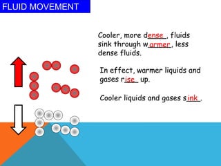 FLUID MOVEMENT
Cooler, more d____, fluids
sink through w_____, less
dense fluids.
In effect, warmer liquids and
gases r___ up.
Cooler liquids and gases s___.
ense
armer
ise
ink
 