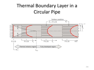 Thermal Boundary Layer in a
Circular Pipe
216
 