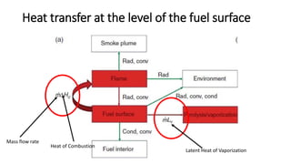 Heat Transfer Concepts in Fire | PDF