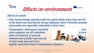 Effects on environment
Effects on nature
• Like human beings, animals suffer too, particularly when they are left
in the direct sun and they do not get adequate water. Domestic animals
and poultry are especially vulnerable to heat wave.
Temperature, wind speed, humidity, and
solar radiation can all contribute to heat
stress in livestock. In periods of
extreme heat, poultry may lose up to 5%
of their body mass per hour and
rapidly reach their limit of dehydration tolerance.
e-Learning for the Prevention, Preparedness and Response to
Natural Disasters
20
 