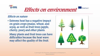 Effects on environment
Effects on nature
• Extreme heat has a negative impact
on grain crops (maize, wheat, and
soya), as well as fruit trees (apple,
cherry, pear) and other plants.
Many plants and fruit trees can have
difficulties because the heat wave
may affect the quality of the fruit.
e-Learning for the Prevention, Preparedness and Response to
Natural Disasters
22
 