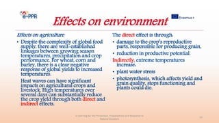 Effects on environment
Effects on agriculture
• Despite the complexity of global food
supply, there are well-established
linkages between growing season
temperatures, precipitation and crop
performance. For wheat, corn and
barley, there is a clear negative
response of global yields to increased
temperatures.
Heat waves can have significant
impacts on agricultural crops and
livestock. High temperatures over
several days can substantially reduce
the crop yield through both direct and
indirect effects.
The direct effect is through:
• damage to the crop’s reproductive
parts, responsible for producing grain,
• reduction in productive potential.
Indirectly, extreme temperatures
increase:
• plant water stress
• photosynthesis, which affects yield and
grain quality, stops functioning and
plants could die.
e-Learning for the Prevention, Preparedness and Response to
Natural Disasters
23
 
