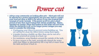 Power cut
• Advice your community on looking after pets – Most pets will not
be affected by a power interruption, but you may want to contact
your local pet shop or RSPCA for advice if you own tropical fish,
unusual or exotic animals. If the power is off for only a short
period of time then most tropical fish will be unaffected. Mains-
operated air pumps, filters and heaters in fish tanks will not work
while the electricity is off, so for longer power outages you may
want to consider the following:
• Unplugging your filters to prevent toxins building up. You
are advised to clean the filters before using them again.
• Consider buying a bubble up filter than can be run off a
battery powered air pump as a back-up.
• For insulation, wrap blankets around the outside of the tank.
• To keep oxygen in the tank, periodically disturb the water
with your finger or alternatively fill a cup full of water from
the tank and pour it back in.
e-Learning for the Prevention, Preparedness and Response to
Natural Disasters
34
 