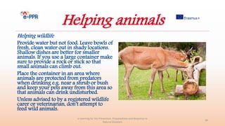 Helping animals
Helping wildlife
Provide water but not food. Leave bowls of
fresh, clean water out in shady locations.
Shallow dishes are better for smaller
animals. If you use a large container make
sure to provide a rock or stick so that
small animals can climb out.
Place the container in an area where
animals are protected from predators
when drinking e.g. near a shrub or bush
and keep your pets away from this area so
that animals can drink undisturbed.
Unless advised to by a registered wildlife
carer or veterinarian, don’t attempt to
feed wild animals.
e-Learning for the Prevention, Preparedness and Response to
Natural Disasters
36
 