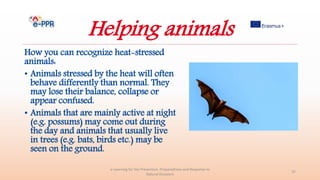 Helping animals
How you can recognize heat-stressed
animals:
• Animals stressed by the heat will often
behave differently than normal. They
may lose their balance, collapse or
appear confused.
• Animals that are mainly active at night
(e.g. possums) may come out during
the day and animals that usually live
in trees (e.g. bats, birds etc.) may be
seen on the ground.
e-Learning for the Prevention, Preparedness and Response to
Natural Disasters
37
 