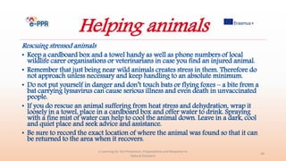 Helping animals
Rescuing stressed animals
• Keep a cardboard box and a towel handy as well as phone numbers of local
wildlife carer organisations or veterinarians in case you find an injured animal.
• Remember that just being near wild animals creates stress in them. Therefore do
not approach unless necessary and keep handling to an absolute minimum.
• Do not put yourself in danger and don’t touch bats or flying foxes – a bite from a
bat carrying lyssavirus can cause serious illness and even death in unvaccinated
people.
• If you do rescue an animal suffering from heat stress and dehydration, wrap it
loosely in a towel, place in a cardboard box and offer water to drink. Spraying
with a fine mist of water can help to cool the animal down. Leave in a dark, cool
and quiet place and seek advice and assistance.
• Be sure to record the exact location of where the animal was found so that it can
be returned to the area when it recovers.
e-Learning for the Prevention, Preparedness and Response to
Natural Disasters
38
 