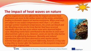 The impact of heat waves on nature
e-Learning for the Prevention, Preparedness and Response to Natural Disasters
Marine organisms are also affected by the impacts of severe heat.
Heatwaves can occur in the surface waters of the ocean, sometimes
leading to dramatic impacts on marine ecosystems. When coral reefs
are subject to sea surface temperatures more than 1-2°C above
average summer maximum temperatures, the corals can bleach and
die. Bleaching events on the Great Barrier Reef have occurred
repeatedly since the late 1970s where none were observed before
1970. Bleaching events have contributed to the decline in coral cover
observed from 1985 to 2002. However, corals are not the only marine
systems to be affected by heatwaves. Mortality and reduced
reproduction have also been observed in some marine species.
Extreme heat affects each ecosystem differently, however; it may take
a long time to recover after the heatwave or the ecosystem may never
return to their original state
 