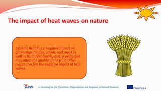 The impact of heat waves on nature
e-Learning for the Prevention, Preparedness and Response to Natural Disasters
Extreme heat has a negative impact on
grain crops (maize, wheat, and soya) as
well as fruit trees (apple, cherry, pear) and
may affect the quality of the fruit. Other
plants also feel the negative impact of heat
waves.
 