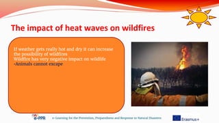 The impact of heat waves on wildfires
e-Learning for the Prevention, Preparedness and Response to Natural Disasters
If weather gets really hot and dry it can increase
the possibility of wildfires
Wildfire has very negative impact on wildlife
•Animals cannot excape
 