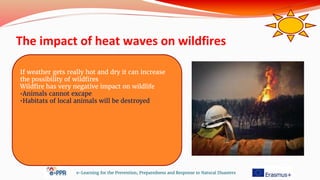 The impact of heat waves on wildfires
e-Learning for the Prevention, Preparedness and Response to Natural Disasters
If weather gets really hot and dry it can increase
the possibility of wildfires
Wildfire has very negative impact on wildlife
•Animals cannot excape
•Habitats of local animals will be destroyed
 