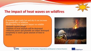 The impact of heat waves on wildfires
e-Learning for the Prevention, Preparedness and Response to Natural Disasters
If weather gets really hot and dry it can increase
the possibility of wildfires
Wildfire has very negative impact on wildlife
•Animals cannot excape
•Habitats of local animals will be destroyed
•Different plants and plantlife are either destroyed
completely or need a great amount of time to
recover
 