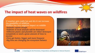 The impact of heat waves on wildfires
e-Learning for the Prevention, Preparedness and Response to Natural Disasters
If weather gets really hot and dry it can increase
the possibility of wildfires
Wildfire has very negative impact on wildlife
•Animals cannot excape
•Habitats of local animals will be destroyed
•Different plants and plantlife are either destroyed
completely or need a great amount of time to
recover
•Fires get hotter, bigger and more frequent
•Big fires are changing the ecosystem balance
 