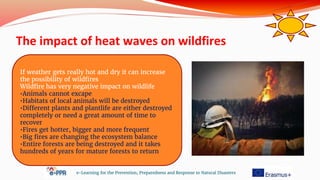 The impact of heat waves on wildfires
e-Learning for the Prevention, Preparedness and Response to Natural Disasters
If weather gets really hot and dry it can increase
the possibility of wildfires
Wildfire has very negative impact on wildlife
•Animals cannot excape
•Habitats of local animals will be destroyed
•Different plants and plantlife are either destroyed
completely or need a great amount of time to
recover
•Fires get hotter, bigger and more frequent
•Big fires are changing the ecosystem balance
•Entire forests are being destroyed and it takes
hundreds of years for mature forests to return
 