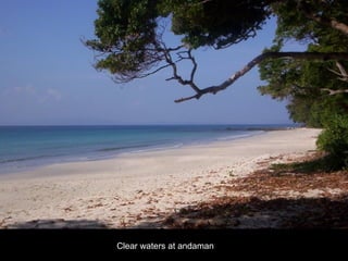 Clear waters at andaman 