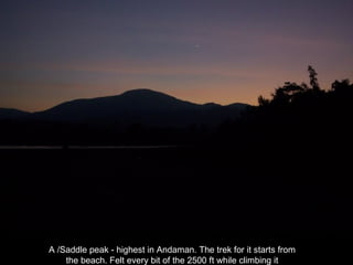 A /Saddle peak - highest in Andaman. The trek for it starts from the beach. Felt every bit of the 2500 ft while climbing it 