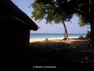 A Shack in Andamans 