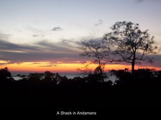 A Shack in Andamans 