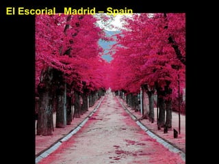 El Escorial , Madrid – Spain
 