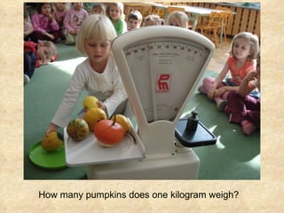 How many  p umpkins does one kilogram weigh? 