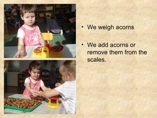 We weigh acorns We add acorns or remove them from the scales. 