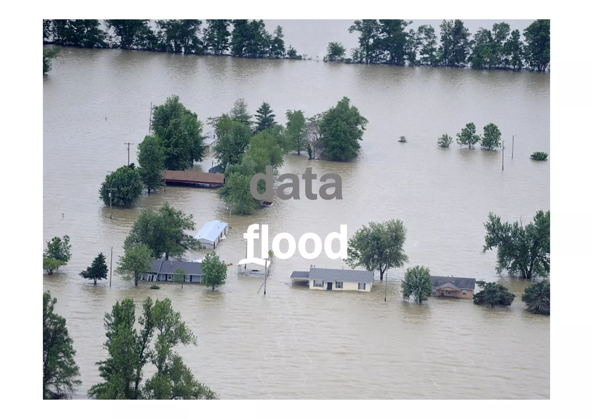 data 
flood 
 