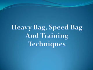 Heavy Bag, Speed Bag And Training Techniques 