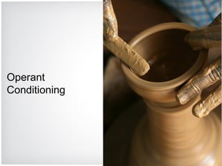 Operant Conditioning 