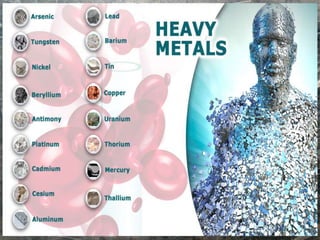 Heavy metal and human
health
 
