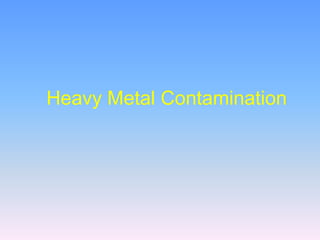 Heavy Metal Contamination
 