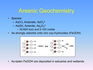 Ase Geochemistry Heavy Metal Contamination.ppt