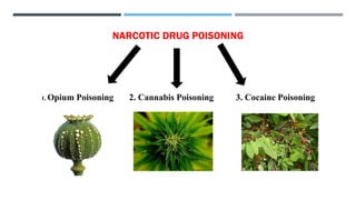 NARCOTIC DRUG POISONING
1. Opium Poisoning 2. Cannabis Poisoning 3. Cocaine Poisoning
 