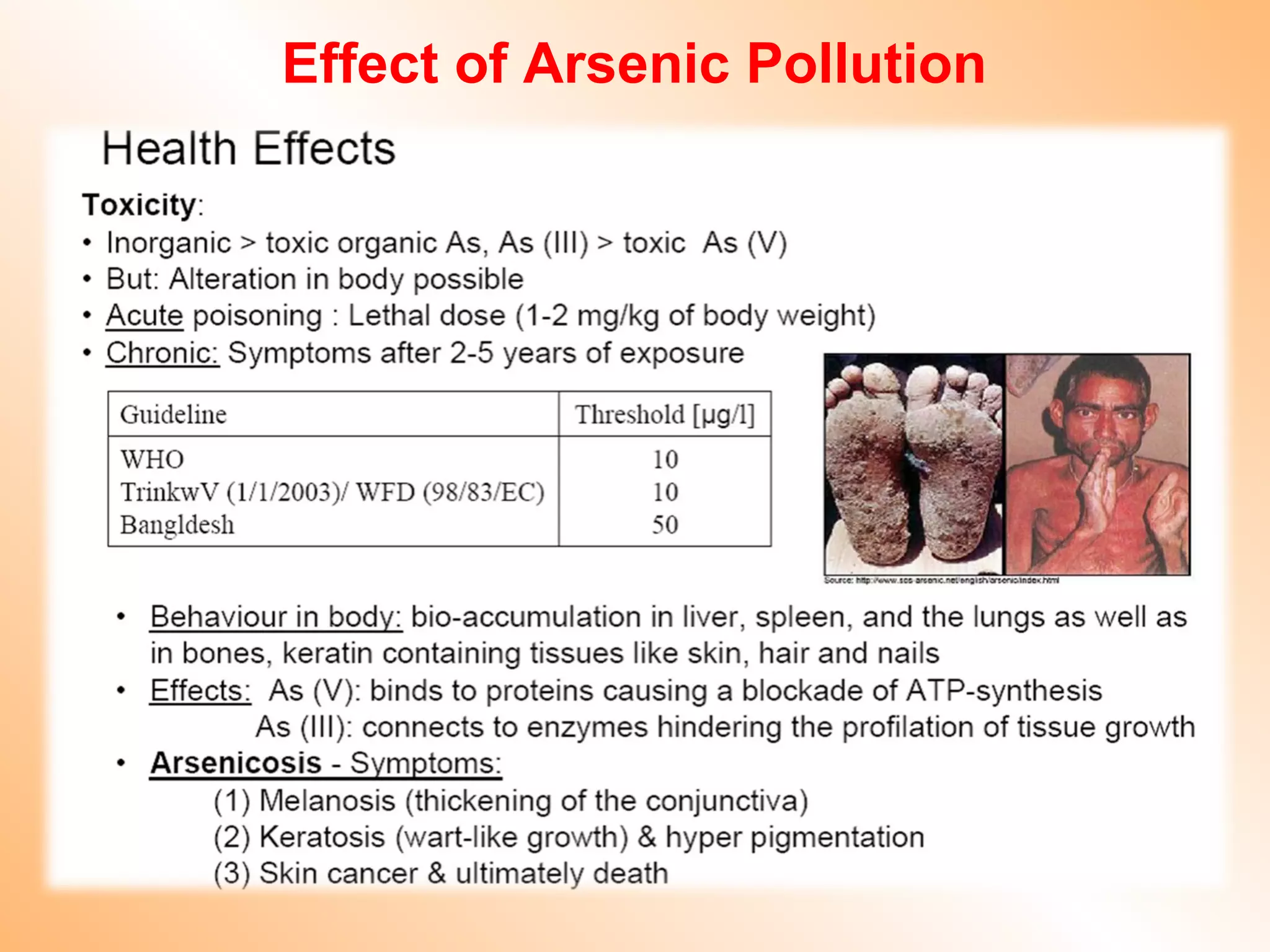 Effect of Arsenic Pollution
 