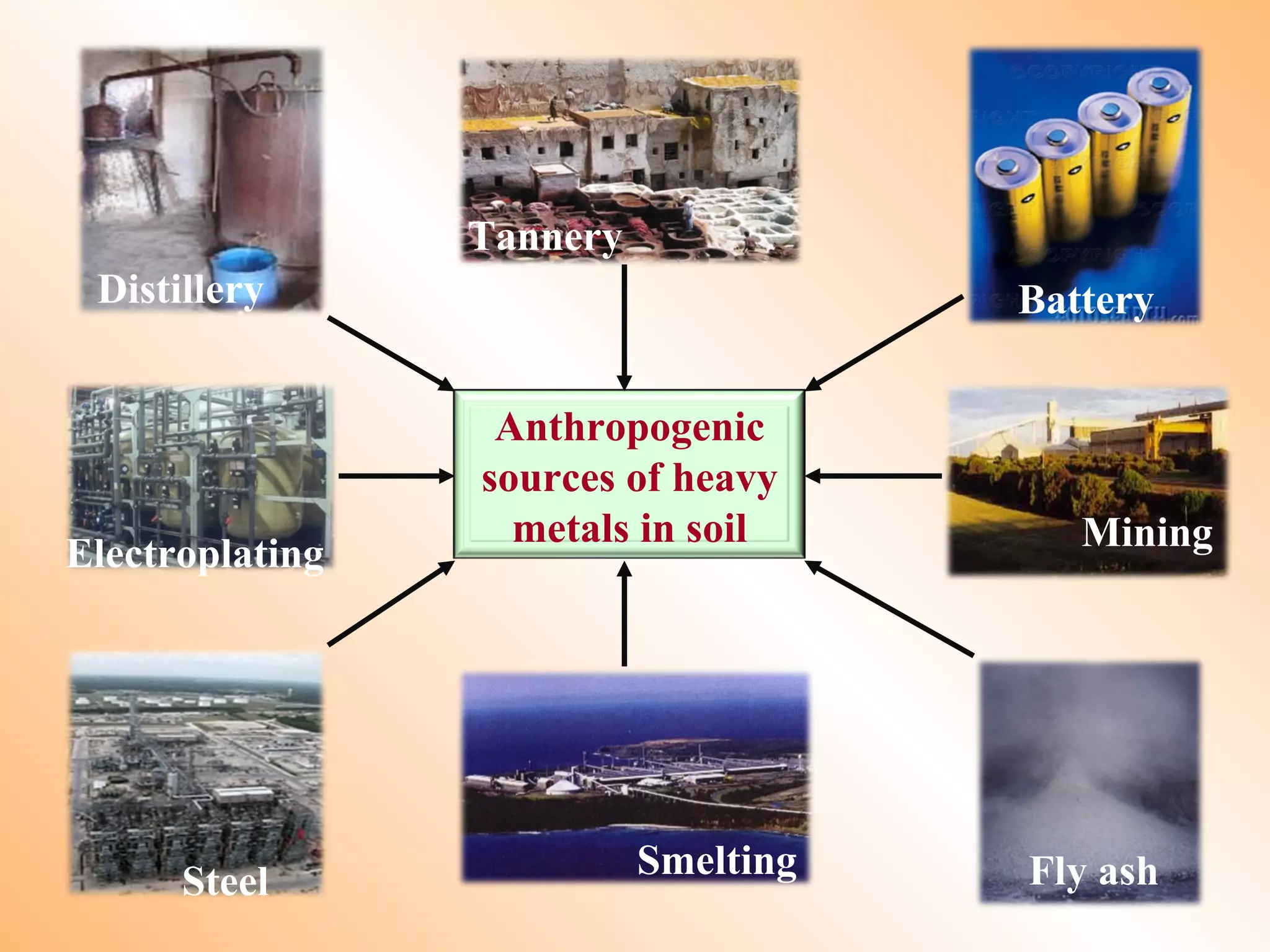Anthropogenic
sources of heavy
metals in soil
Tannery
BatteryDistillery
Steel Fly ash
Electroplating
Mining
Smelting
 