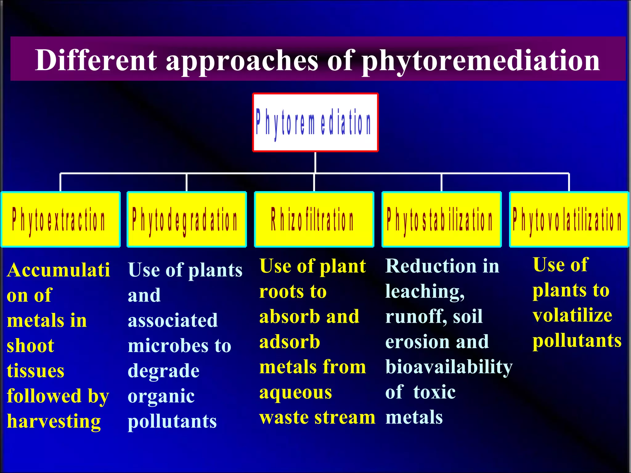 Phytoextraction Phytodegradation Rhizofiltration Phytostabilization Phytovolatilization
Phytorem ediation
Different approaches of phytoremediation
Accumulati
on of
metals in
shoot
tissues
followed by
harvesting
Use of plants
and
associated
microbes to
degrade
organic
pollutants
Use of plant
roots to
absorb and
adsorb
metals from
aqueous
waste stream
Reduction in
leaching,
runoff, soil
erosion and
bioavailability
of toxic
metals
Use of
plants to
volatilize
pollutants
 