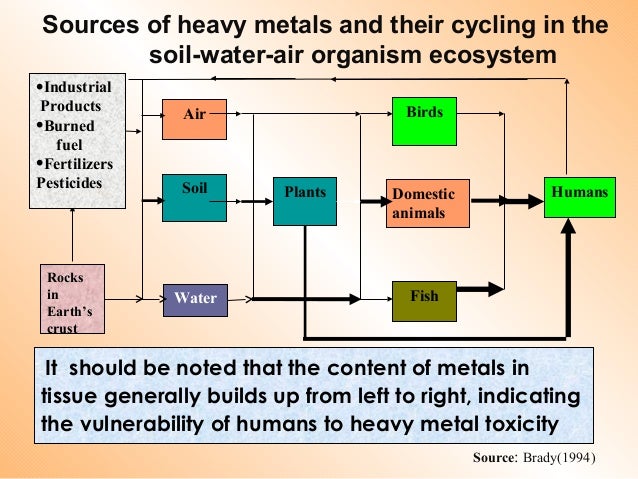 Best answers to college essay questions image 3