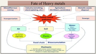 Fate of Heavy metals
 