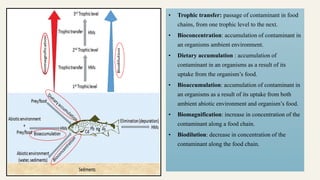 • Trophic transfer: passage of contaminant in food
chains, from one trophic level to the next.
• Bioconcentration: accumulation of contaminant in
an organisms ambient environment.
• Dietary accumulation : accumulation of
contaminant in an organisms as a result of its
uptake from the organism’s food.
• Bioaccumulation: accumulation of contaminant in
an organisms as a result of its uptake from both
ambient abiotic environment and organism’s food.
• Biomagnification: increase in concentration of the
contaminant along a food chain.
• Biodilution: decrease in concentration of the
contaminant along the food chain.
 