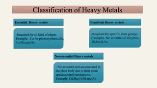 Classification of Heavy Metals
Essential Heavy metals Beneficial Heavy metals
Non-essential Heavy metals
-Required for all kind of plants.
Example: Cu for photosynthesis,Zn,
Co,Mo,and Se.
-Required for specific plant groups.
Examples :Ni: activities of enzymes,
Si,Mn,B,Va.
- Not required and accumulated in
the plant body due to their weak
upake control mechanisms.
Example: Cd,Hg,Cr,Pd and As.
 