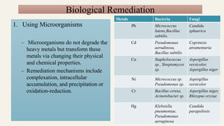 Biological Remediation
1. Using Microorganisms
– Microorganisms do not degrade the
heavy metals but transform these
metals via changing their physical
and chemical properties.
– Remediation mechanisms include
complexation, intracellular
accumulation, and precipitation or
oxidation-reduction.
Metals Bacteria Fungi
Pb Micrococcus
lutens,Bacillus
subtilis.
Candida
sphaerica
Cd Pseudomonas
aerudinosa,
Bacillus subtilis
Coprinisis
atramentaria
Cu Staphylococcus
sp., Streptomyces
sp.
Aspergillus
versicolor,
Aspergillus niger
Ni Micrococcus sp.
Pseudomonas sp.
Aspergillus
versicolor
Cr Bacillus cereus,
Acinetobacter sp.
Aspergillus niger,
Rhizopus oryzae
Hg Klebsiella
pneumoniae,
Pseudomonas
aeruginosa
Candida
parapsilosis
 