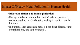 Impact Of Heavy Metal Pollution In Human Health
• Bioaccumulation and Biomagnification
• Heavy metals can accumulate in seafood and become
concentrated up the food chain, leading to health risks for
humans.
• In humans, they can cause renal illness, liver disease, lung
complications, and some cancers .
 